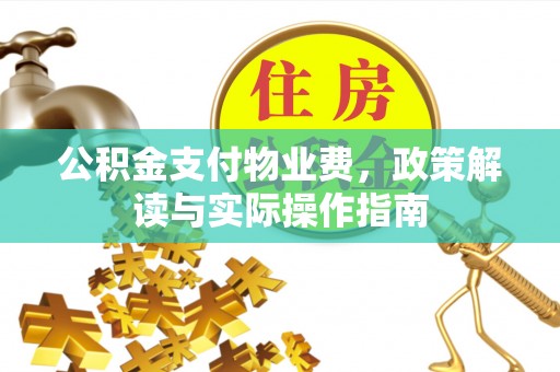 醴陵公积金支付物业费，政策解读与实际操作指南